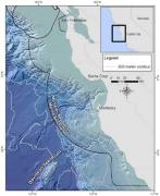 Davidson Seamount is located off the coast of central California. Credit: C. King, Monterey Bay National Marine Sanctuary